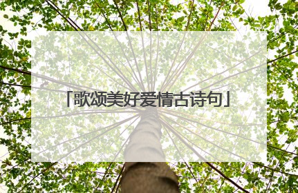 歌颂美好爱情古诗句