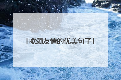 歌颂友情的优美句子