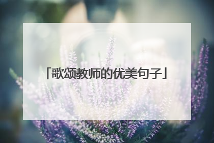 歌颂教师的优美句子