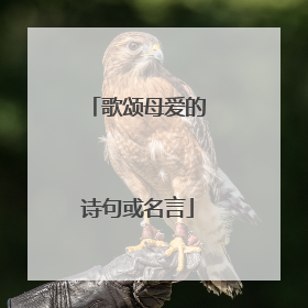歌颂母爱的诗句或名言