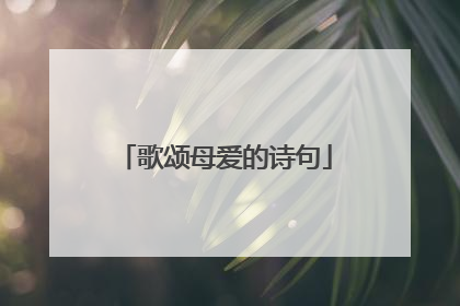 歌颂母爱的诗句