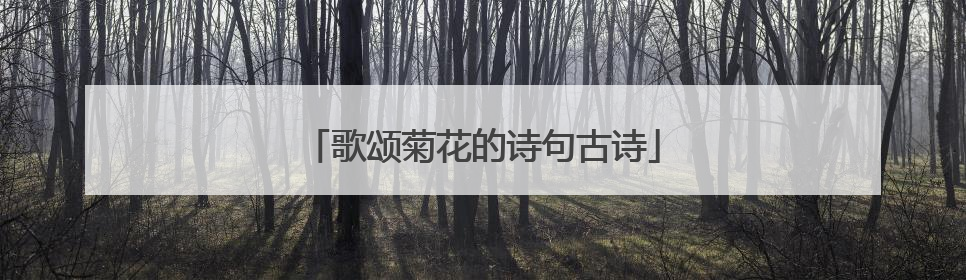 歌颂菊花的诗句古诗