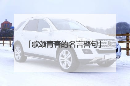 歌颂青春的名言警句