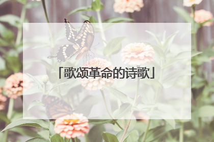 歌颂革命的诗歌