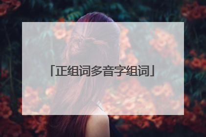 正组词多音字组词