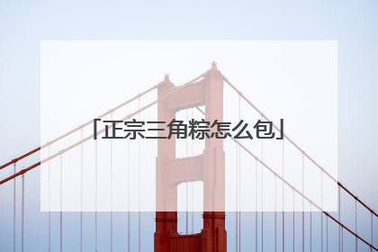正宗三角粽怎么包