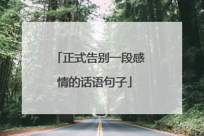 正式告别一段感情的话语句子