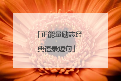 正能量励志经典语录短句