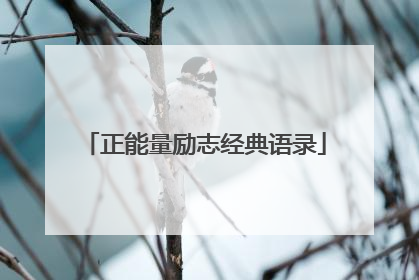 正能量励志经典语录