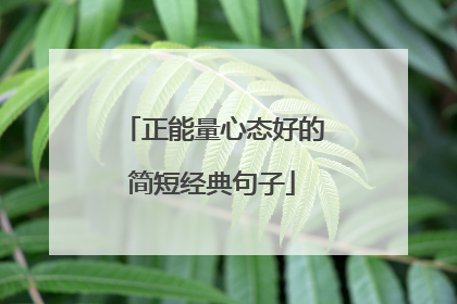 正能量心态好的简短经典句子