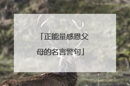 正能量感恩父母的名言警句