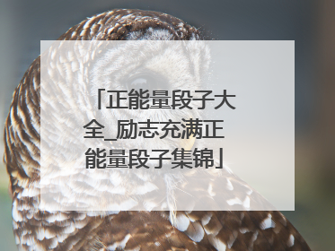正能量段子大全_励志充满正能量段子集锦