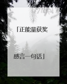 正能量获奖感言一句话