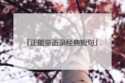 正能量语录经典短句