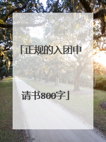 正规的入团申请书800字