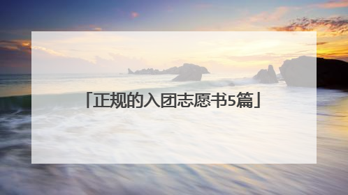 正规的入团志愿书5篇