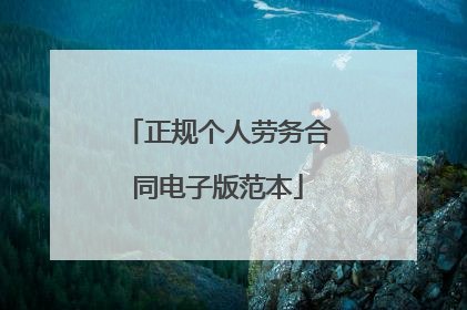 正规个人劳务合同电子版范本