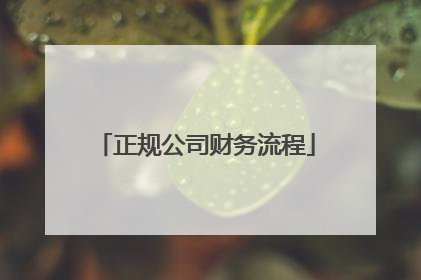 正规公司财务流程