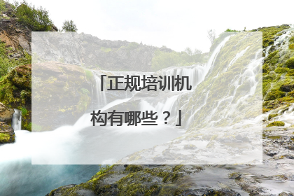正规培训机构有哪些？