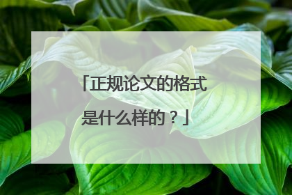 正规论文的格式是什么样的?