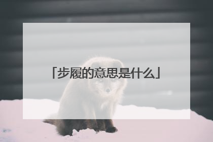 步履的意思是什么