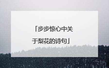 步步惊心中关于梨花的诗句