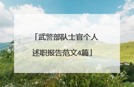 武警部队士官个人述职报告范文4篇