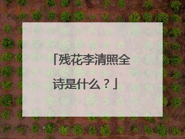 残花李清照全诗是什么?