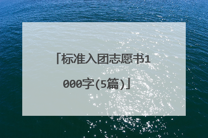 标准入团志愿书1000字(5篇)