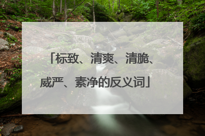 标致、清爽、清脆、威严、素净的反义词