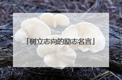 树立志向的励志名言