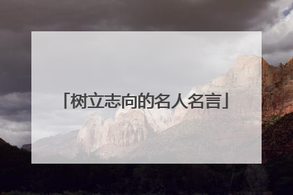 树立志向的名人名言