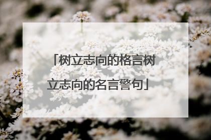 树立志向的格言树立志向的名言警句