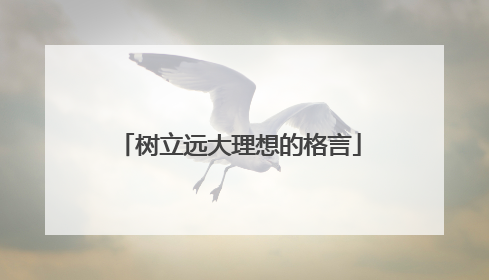 树立远大理想的格言