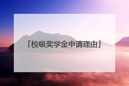 校级奖学金申请理由