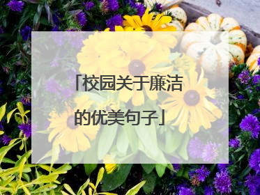 校园关于廉洁的优美句子