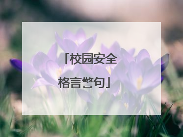 校园安全格言警句