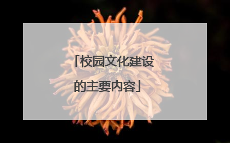 校园文化建设的主要内容