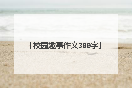 校园趣事作文300字
