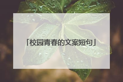 校园青春的文案短句