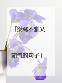 桀骜不驯又霸气的句子