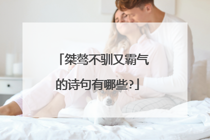 桀骜不驯又霸气的诗句有哪些?