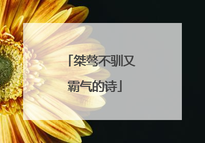 桀骜不驯又霸气的诗