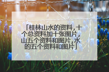 桂林山水的资料,十个总资料加十张图片,山五个资料和图片,水的五个资料和图片