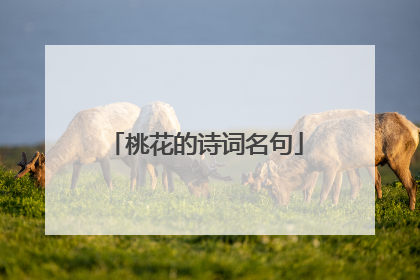 桃花的诗词名句