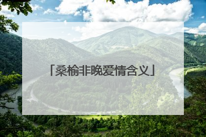 桑榆非晚爱情含义