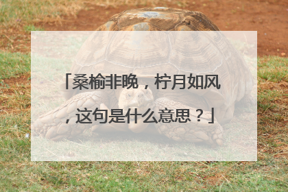 桑榆非晚，柠月如风，这句是什么意思？