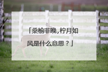 桑榆非晚,柠月如风是什么意思?