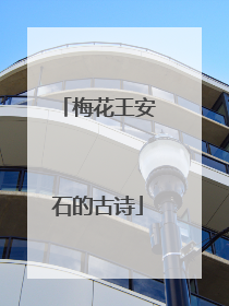 梅花王安石的古诗