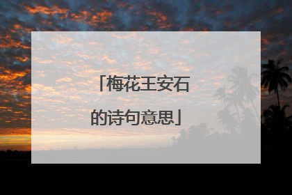 梅花王安石的诗句意思